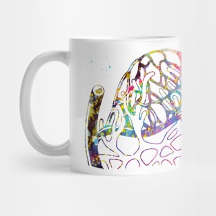 Lymphatic capillaries in the tissue spaces Mug